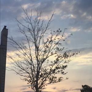 Meet your Posher, Natalia